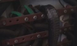 1 buçuk metrelik karayılan apartmanı elektriksiz bıraktı