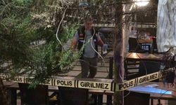 Silahlı saldırı: 3 kişi yaralandı