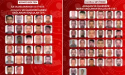 27'si kırmızı bültenle aranan 65 suçlu yurda getirildi