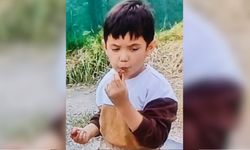 4 yaşındaki Miraç Kazan kimdir? Neden öldü? Ölüm nedeni nedir?