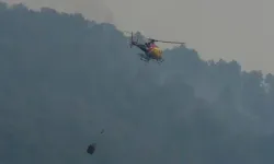 Orman yangını: 11 ölü