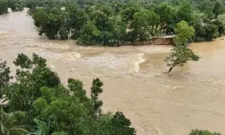 Sel ve heyelan peş peşe vurdu: 44 ölü