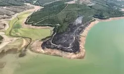 Orman yangınında 80 dekar alan zarar gördü