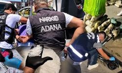 73 ilde zehir tacirlerine operasyon: 935 şüpheli tutuklandı