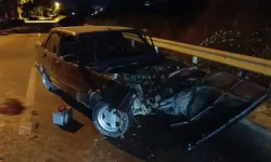 Ağaca çarpan otomobilin sürücüsü yaralandı