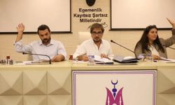Ahmet Anıl Ceylan Kimdir? CHP'li Siyasetçinin Kariyeri Ve Gözaltı Süreci Merak Ediliyor