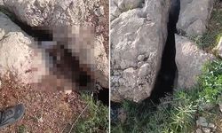Altın Arayan İki Arkadaşın Karşısına Çıkan Sürpriz Viral Oldu