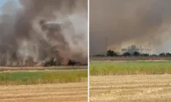 Arazi Kavgası Savaşa Döndü! Ev ve Tarlaları Ateşe Verdiler