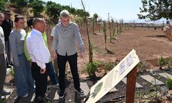 Başkan Görgel; Ayla Öğretmen ve 9 Öğrencinin Hatırası Yaşatılacak