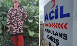 Tarlada beyin kanaması geçiren 3 çocuk annesi yaşamını yitirdi