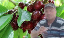Dalından kiraz yiyen karı koca hayatını kaybetti