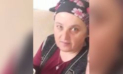 Eşek arısı sokan kadın hayatını kaybetti