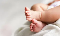 Eşiyle tartışırken açtığı kutulardan 5 bebek ces*di çıktı