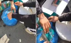 Esnaftan pes dedirten oyun! Marketten alıp 'köy nohudu' diye satmışlar