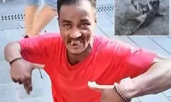 Falçatalı cani martıyı ağır yaraladı