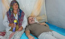 Felçli eşinin başında sinek nöbeti tutuyor