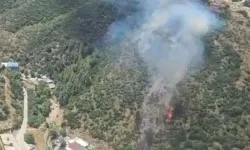 İzmir Narlıdere Yangını Son Dakika: Yangın Söndürüldü mü, Neden Çıktı?