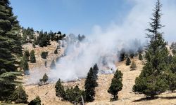 Kahramanmaraş Göksun'da orman yangını