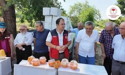 Kahramanmaraş İl Tarım Müdürlüğü'nden Andırın'da tuzak desteği