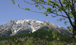 Kahramanmaraş'ın Doğa Harikası Tekir Vadisi Nerede, Nasıl Gidilir, Giriş Ücretli mi?