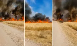Kahramanmaraş'ta Biçerdöverden Sıçrayan Kıvılcım Tarlayı Kül Etti!