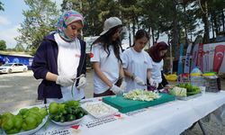 Kahramanmaraş’ta Gençler Gastronomi Kampında Hem Öğrendi Hem Eğlendi