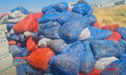 Kahramanmaraş'ta Ruhsatsız Mandıraya Baskın! Skandal Depo Ortaya Çıktı