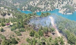Kahramanmaraş'ta orman yangını: Havadan ve karadan müdahale edildi
