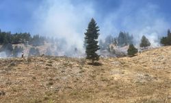 Kahramanmaraş'ta Orman Yangınına Havadan ve Karadan Müdahale