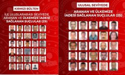 Kırmızı bültenle aranan 54 kişi Türkiye'ye getirildi