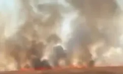 Mayınlı sınır hattında anız yangını
