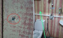 Mide Bulandıran Olay! Tuvalete Giren Genç Kadın Gördüklerine İnanamadı