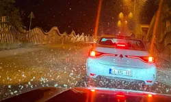 Milyonlarca Kelebeğin Ölüm Dansı Yeniden Yaşandı