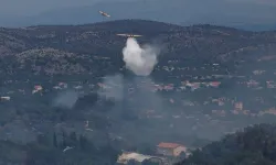 Orman yangınında ölenlerin sayısı 2’ye yükseldi