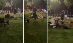 Pikniğe gidip dayak yediler: Yumruklar, sopalar havada uçuştu!