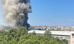 Sünger fabrikasında yangın