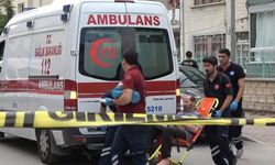 Üvey annesi ve kız kardeşini öld*rdü