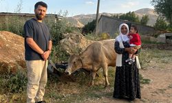 Uçurumdan düşen ineği için gözyaşı döken Ayni teyzenin yüzü güldü
