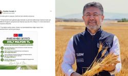 Üreticilere 315,7 milyon TL ödeme hesaplara geçti