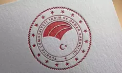 Uygunsuz bulunan beyaz peynir piyasadan toplatıldı