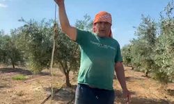 ’Yılanı öldürd*m’ deyip çektirdiği video pahalıya mal oldu: 22 bin TL ceza yedi