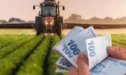 106 milyar lira çiftçilere aktarıldı: En büyük pay bu alana gitti