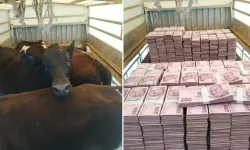 200 TL Desteleri ile Danaları Yan Yana Paylaştı! Notu Olay Oldu