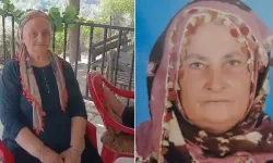Acı olay: Sumak toplamaya giden yaşlı kadın ölü bulundu