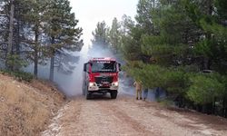 Kahramanmaraş’ta orman yangınları ekiplerin müdahalesiyle söndürüldü
