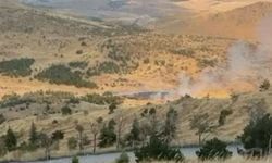 Ağaçlık alanda meydana gelen yangının başlama anı kamerada
