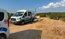 Otomobilinin yanında öldü bulundu
