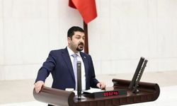 Ahmet Baran Yazgan Kimdir? CHP Milletvekili Ahmet Baran Yazgan Kaç Yaşında, Nereli?