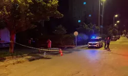 Bıçaklı kavgada 2 kişi yaralandı