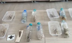 Biyokaçakçılık operasyonu! 2 kişiye 1,4 milyon TL ceza